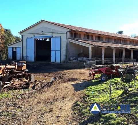 azienda agricola in vendita a Monteverdi Marittimo in zona Canneto