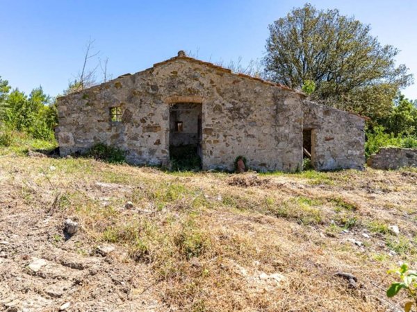 casa indipendente in vendita a Monteverdi Marittimo