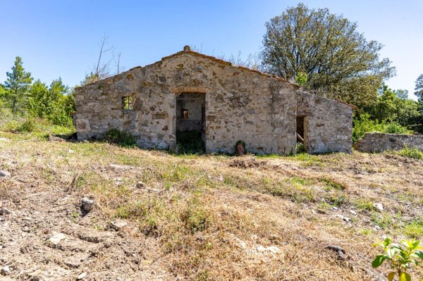 casa indipendente in vendita a Monteverdi Marittimo