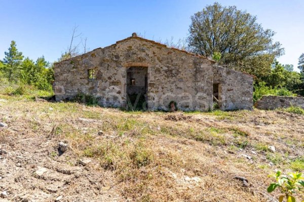 casa indipendente in vendita a Monteverdi Marittimo