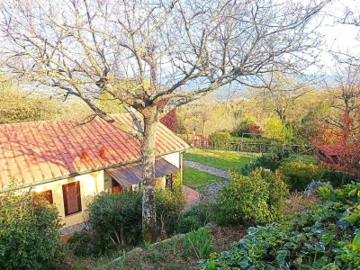 casa indipendente in vendita a Monteverdi Marittimo