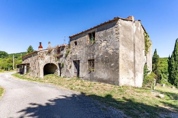 terreno agricolo in vendita a Monteverdi Marittimo