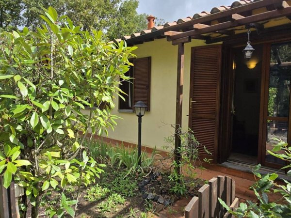 casa indipendente in vendita a Monteverdi Marittimo in zona Canneto