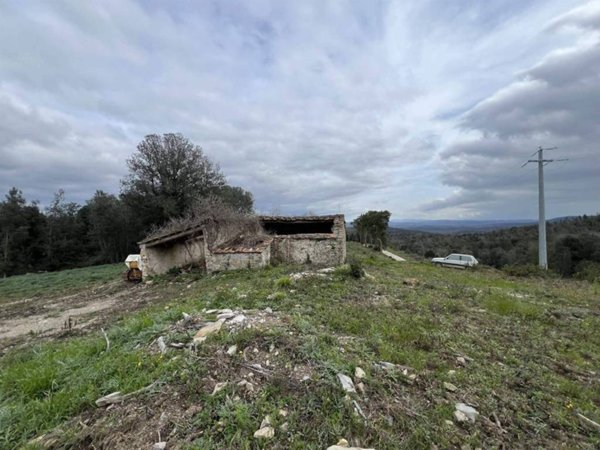 quadrivano in vendita a Monteverdi Marittimo
