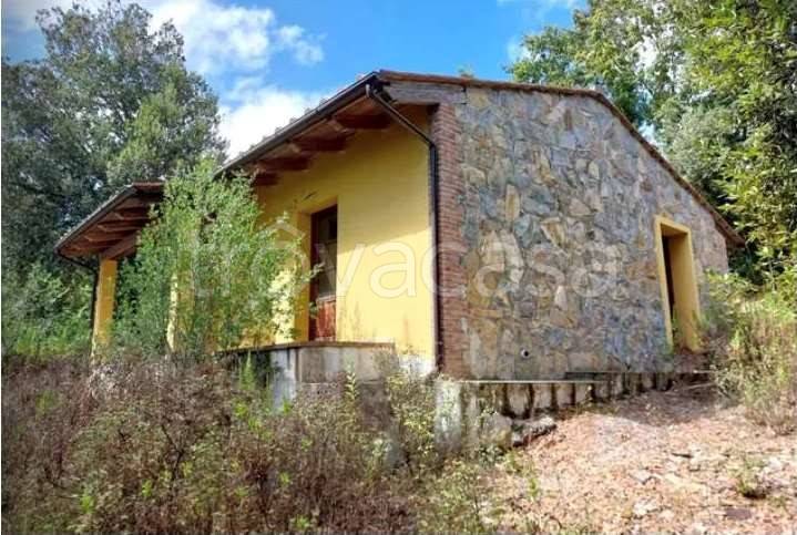 appartamento in vendita a Monteverdi Marittimo