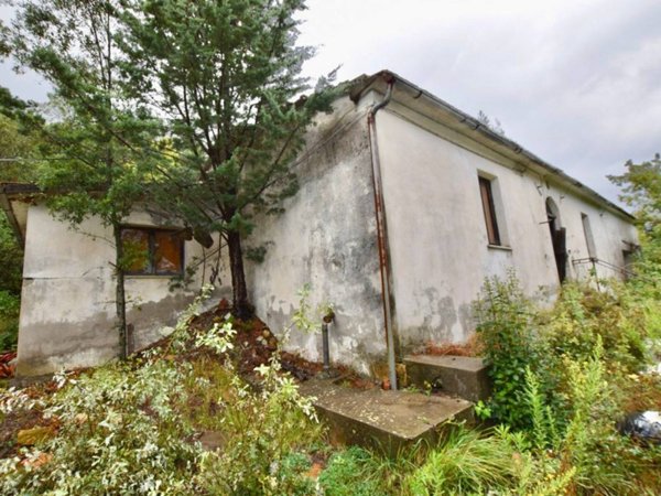 appartamento in vendita a Monteverdi Marittimo