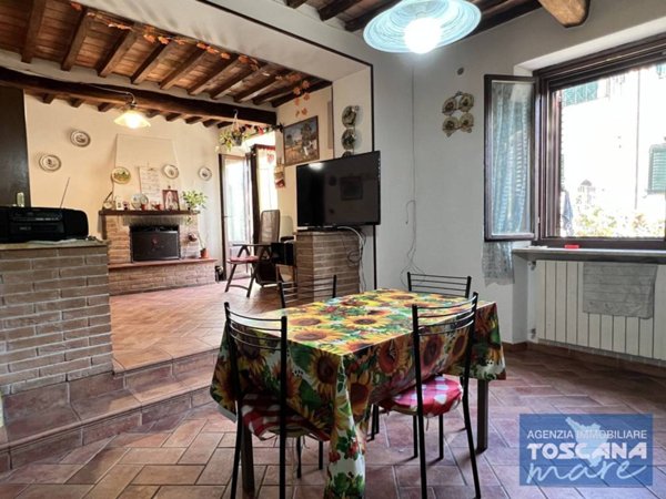 appartamento in vendita a Monteverdi Marittimo in zona Canneto