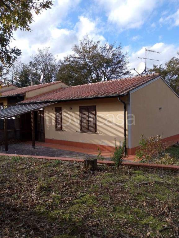 casa indipendente in vendita a Monteverdi Marittimo