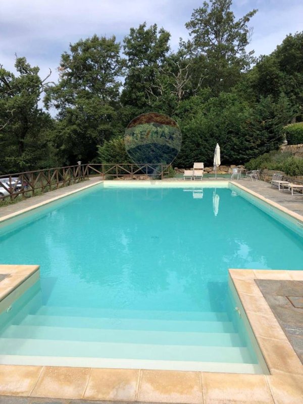 appartamento in vendita a Monteverdi Marittimo