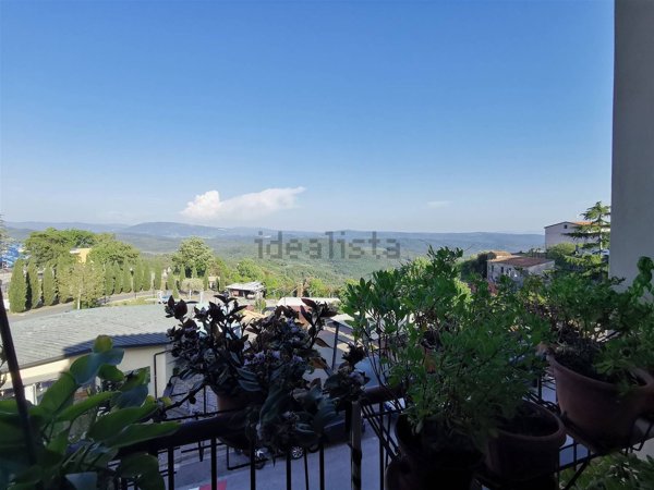 appartamento in vendita a Monteverdi Marittimo