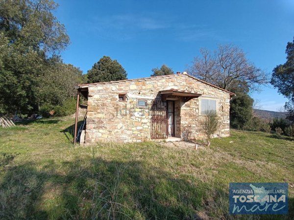 appartamento in vendita a Monteverdi Marittimo