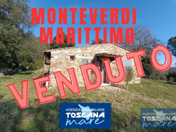 casa indipendente in vendita a Monteverdi Marittimo
