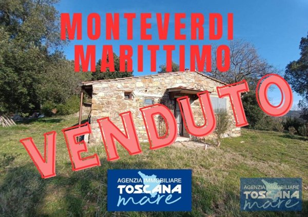 appartamento in vendita a Monteverdi Marittimo