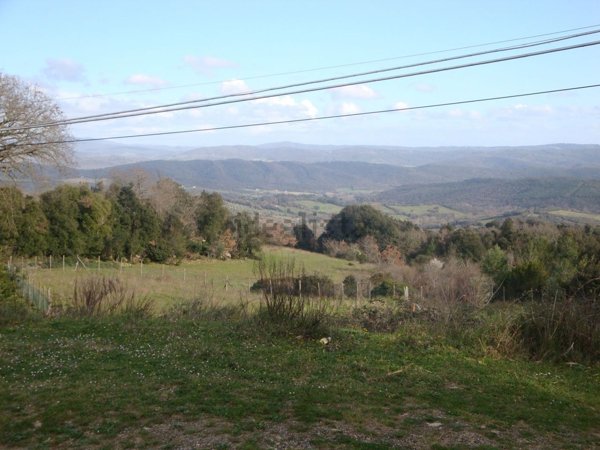 appartamento in vendita a Monteverdi Marittimo