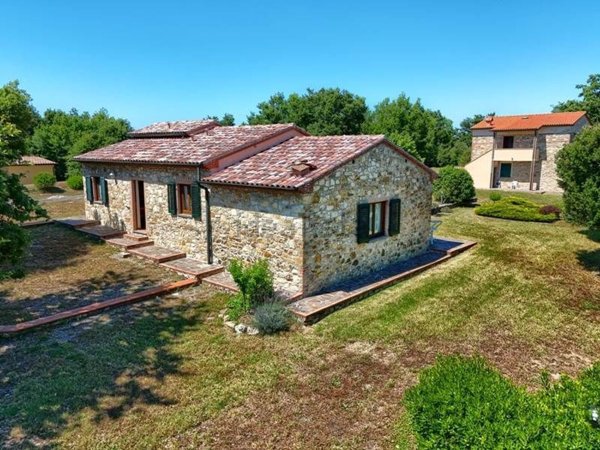 appartamento in vendita a Monteverdi Marittimo