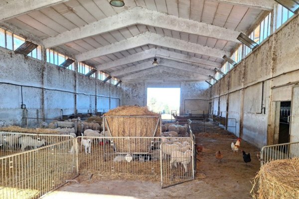 locale di sgombero in vendita a Monteverdi Marittimo in zona Canneto