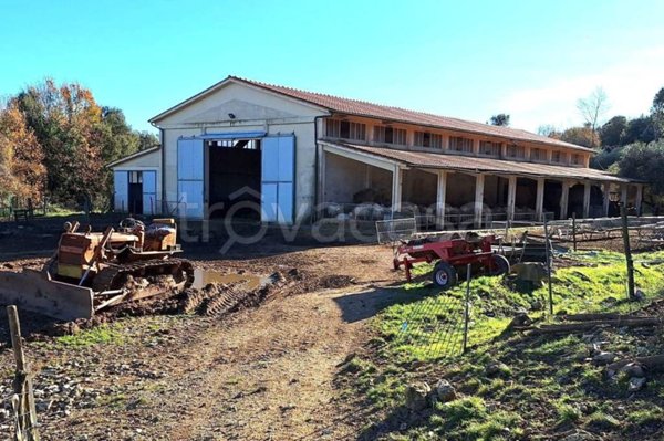 locale di sgombero in vendita a Monteverdi Marittimo in zona Canneto