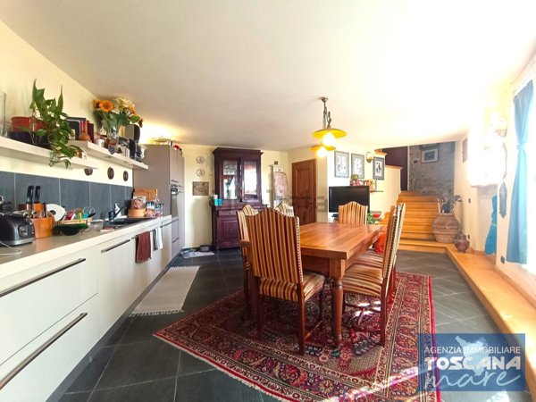 casa indipendente in vendita a Monteverdi Marittimo