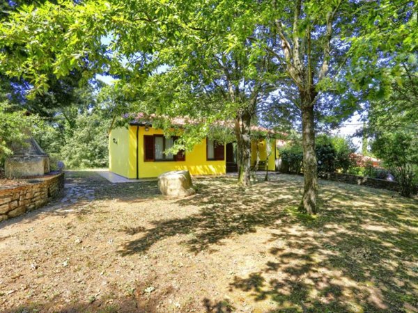 casa indipendente in vendita a Monteverdi Marittimo