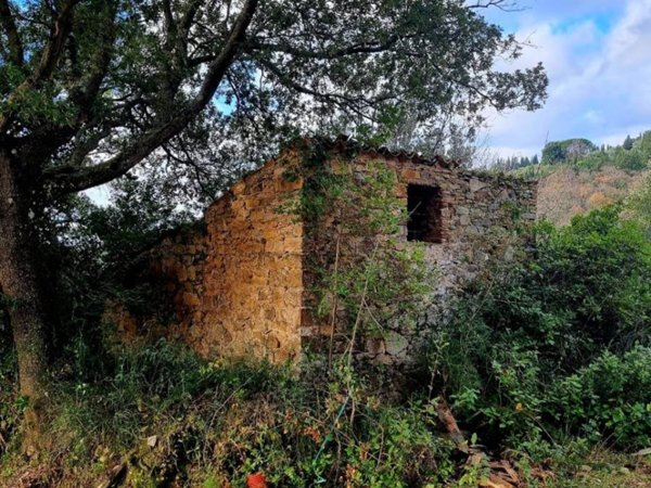 locale commerciale in vendita a Monteverdi Marittimo