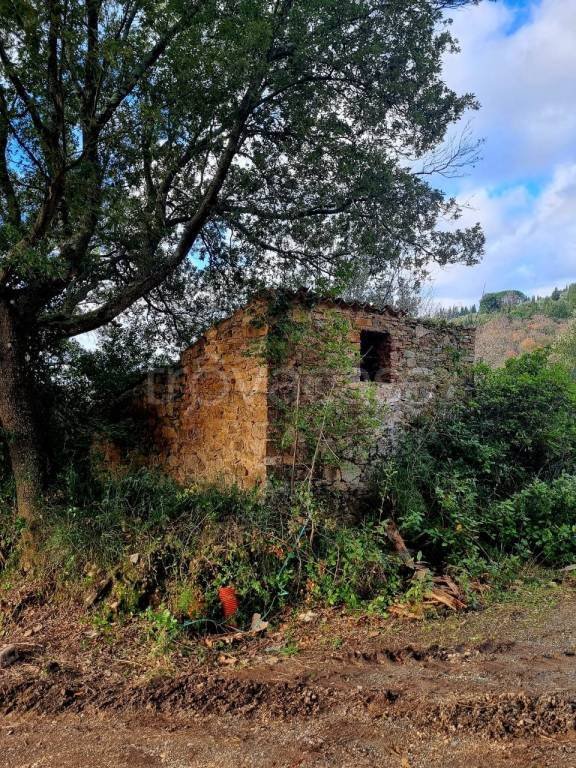 locale commerciale in vendita a Monteverdi Marittimo