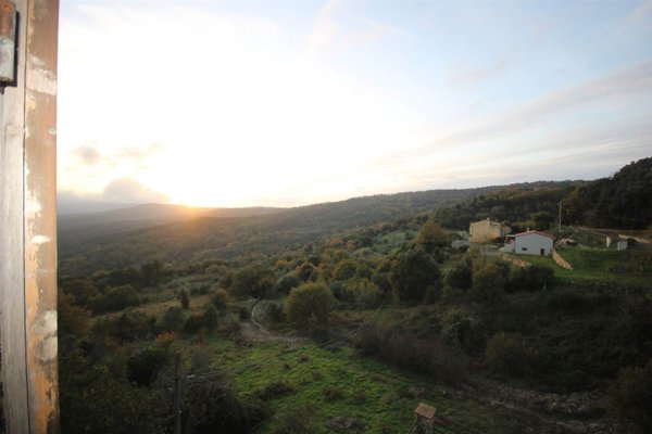 appartamento in vendita a Monteverdi Marittimo