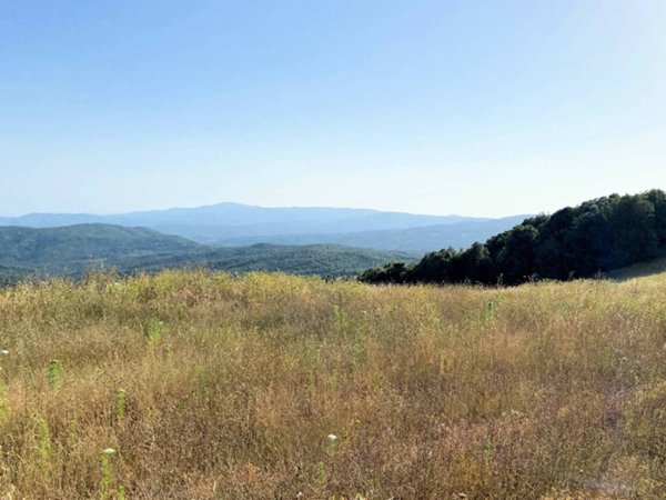 casa indipendente in vendita a Monteverdi Marittimo in zona Canneto