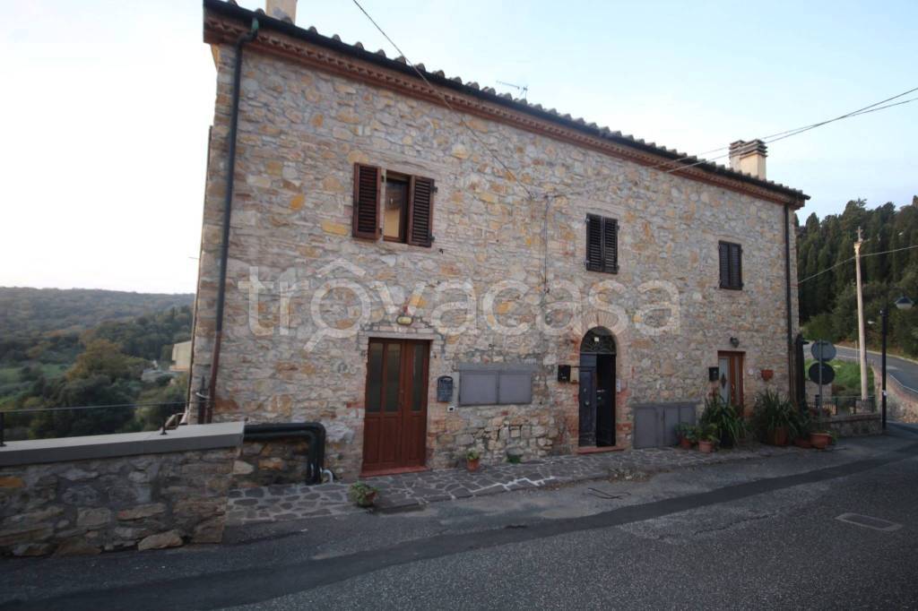 appartamento in vendita a Monteverdi Marittimo