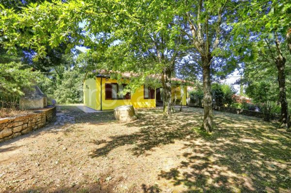 casa indipendente in vendita a Monteverdi Marittimo