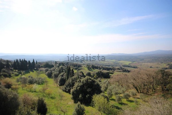 appartamento in vendita a Monteverdi Marittimo