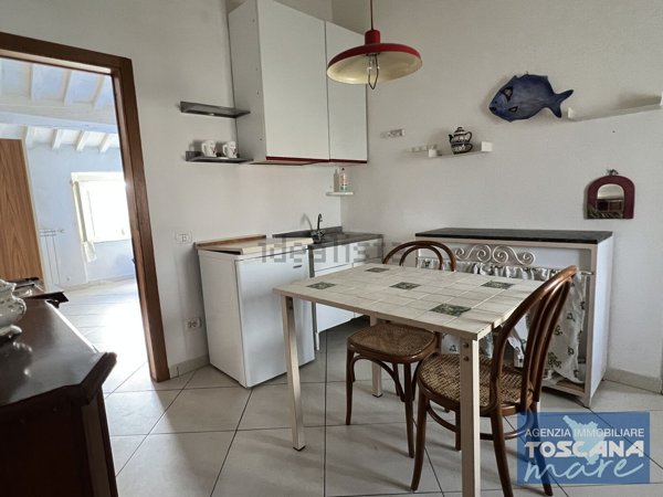 appartamento in vendita a Monteverdi Marittimo