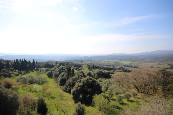 appartamento in vendita a Monteverdi Marittimo