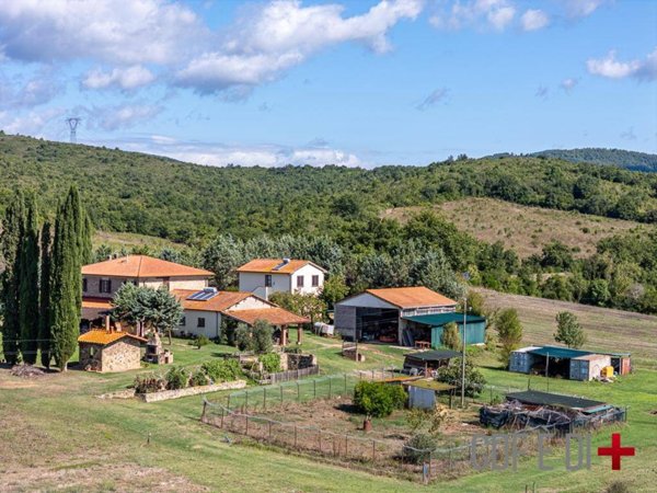 casa indipendente in vendita a Monteverdi Marittimo in zona Canneto