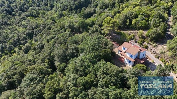 casa indipendente in vendita a Monteverdi Marittimo in zona Canneto