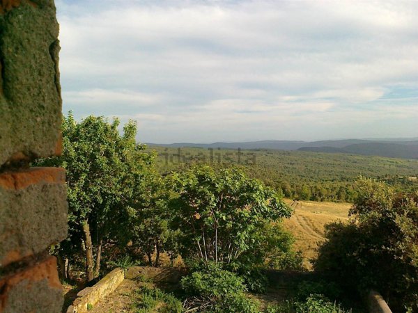 casale in vendita a Monteverdi Marittimo in zona Canneto