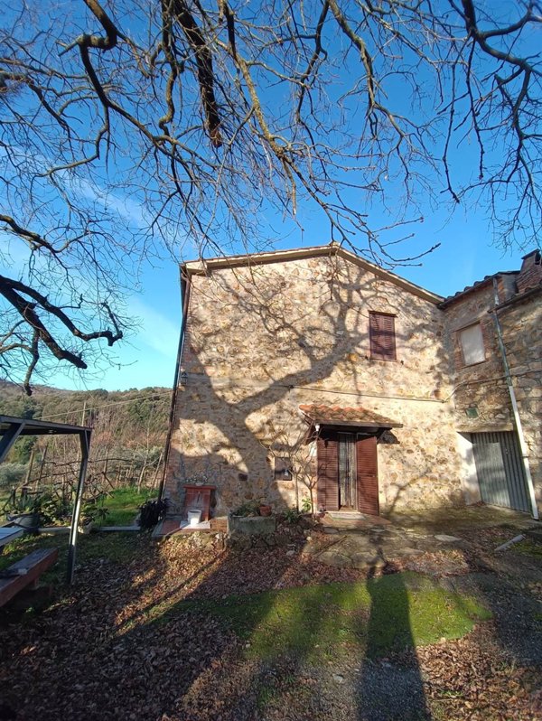casa indipendente in vendita a Monteverdi Marittimo in zona Canneto