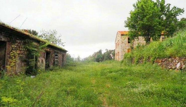 casa indipendente in vendita a Monteverdi Marittimo in zona Canneto