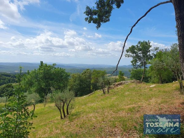 terreno agricolo in vendita a Monteverdi Marittimo