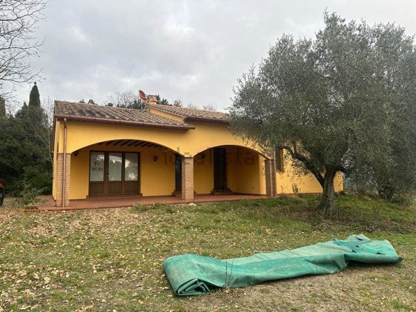 pentavano in vendita a Monteverdi Marittimo in zona Canneto