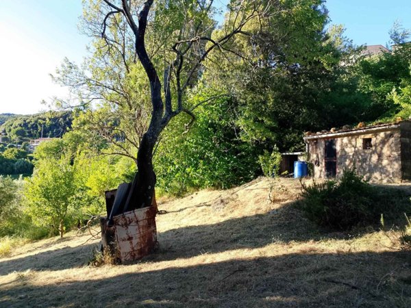 terreno agricolo in vendita a Monteverdi Marittimo