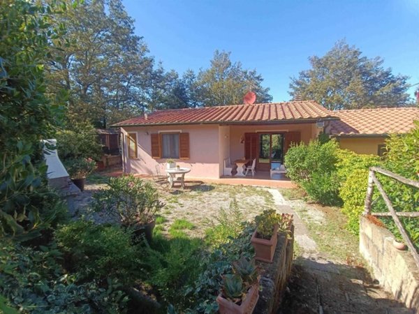 casa indipendente in vendita a Monteverdi Marittimo in zona Canneto
