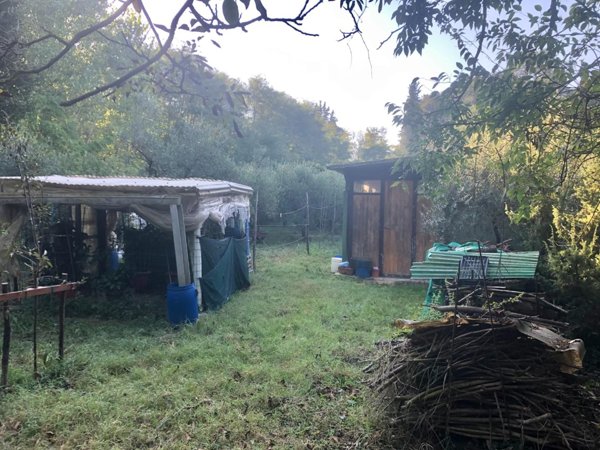 terreno agricolo in vendita a Montopoli in Val d'Arno