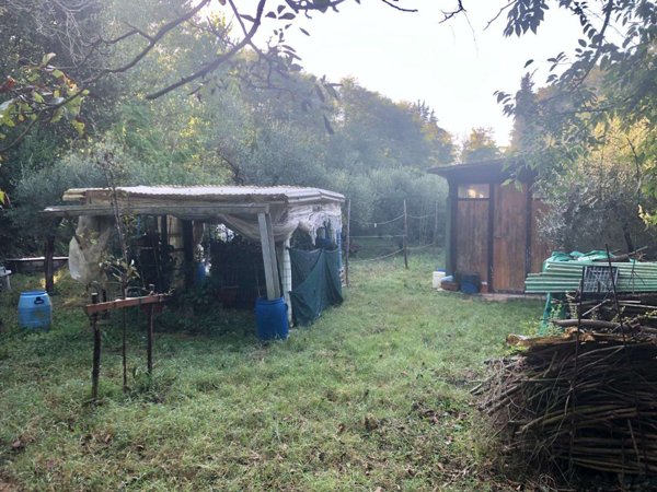 terreno agricolo in vendita a Montopoli in Val d'Arno