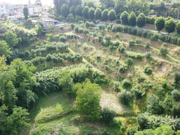terreno agricolo in vendita a Montopoli in Val d'Arno in zona Marti
