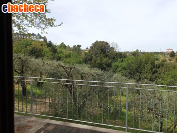 appartamento in vendita a Montopoli in Val d'Arno