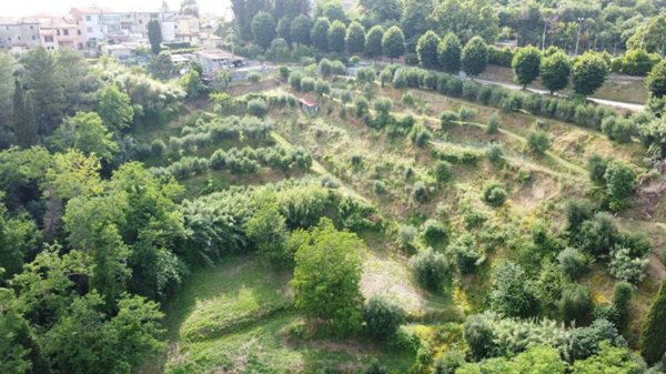 terreno agricolo in vendita a Montopoli in Val d'Arno in zona Marti