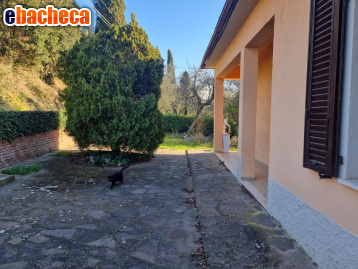 appartamento in vendita a Montopoli in Val d'Arno in zona Marti