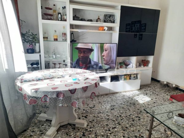 immagine annuncio 0 di 6