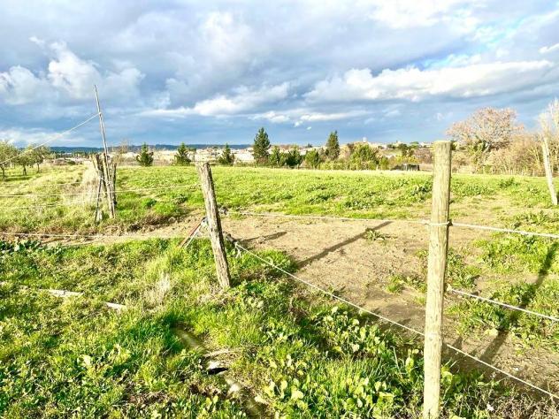terreno agricolo in vendita a Montopoli in Val d'Arno