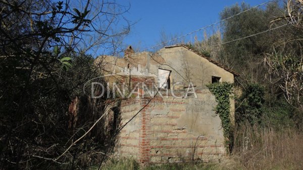 esavano in vendita a Montopoli in Val d'Arno